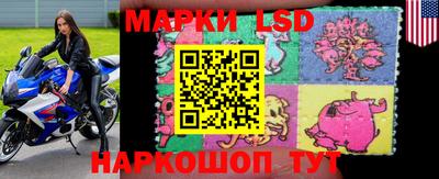 тгк Шебекино